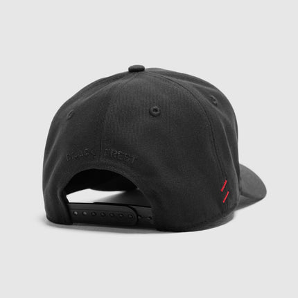 Crest Snapback Hat