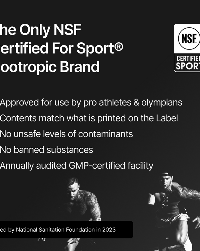 Nootropack: Our Nootropic Bundle