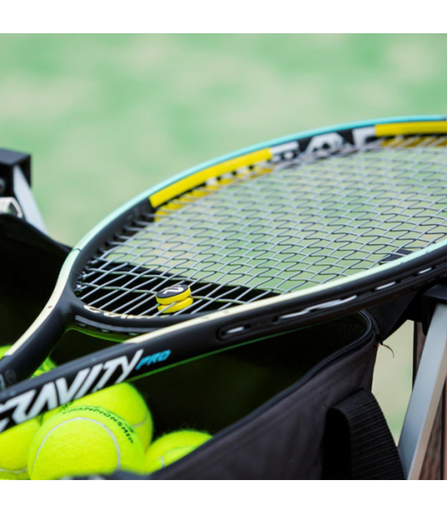 Vibration-Absorbing Racket Weight Strips — ShockSorb Wasp