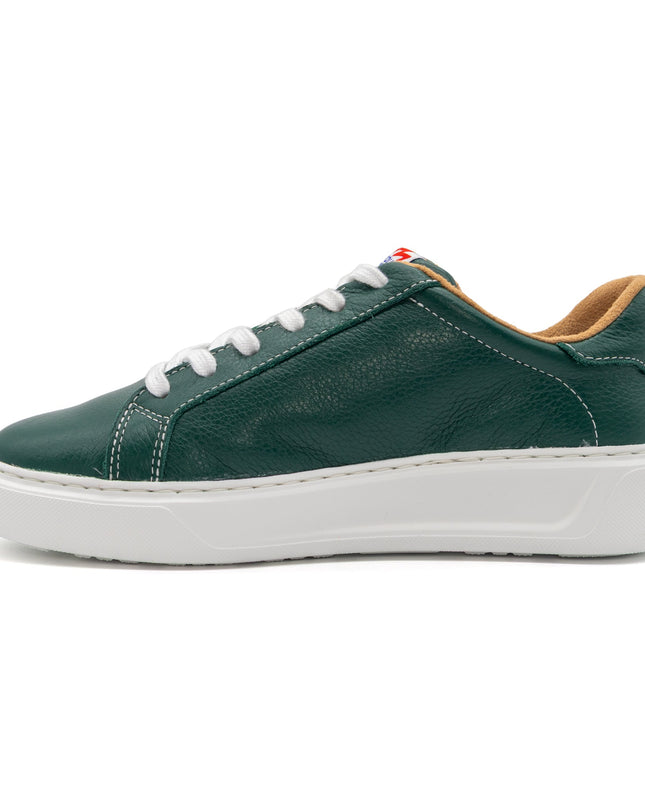 601 Solid | Forest