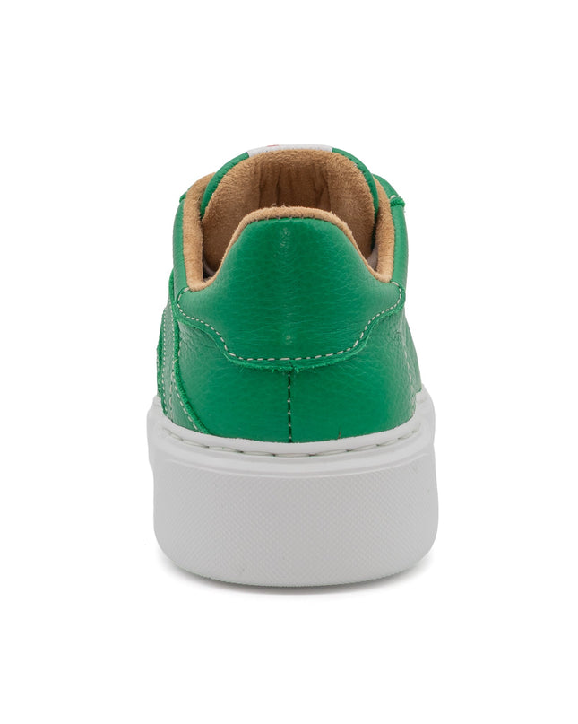 601 Solid | Green