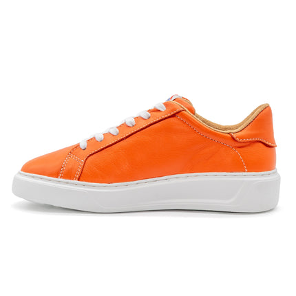 601 Solid | Orange