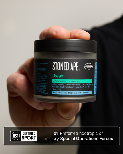 Dream: P.M. Nootropic & Sleep Aid for Recovery