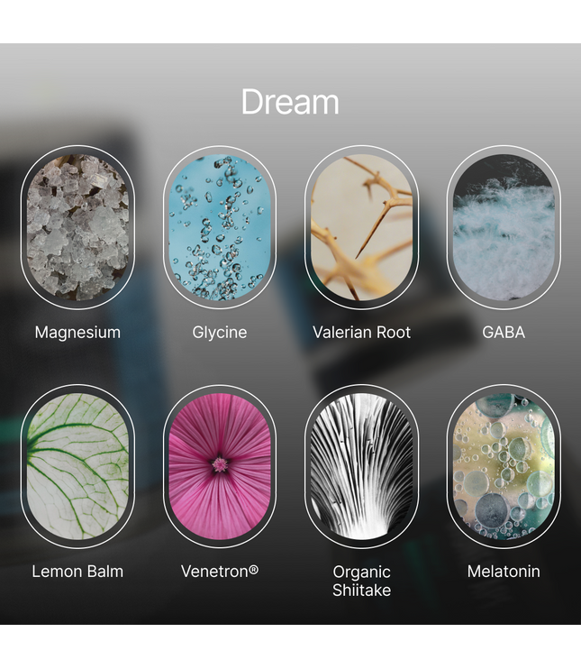 Dream: P.M. Nootropic & Sleep Aid for Recovery