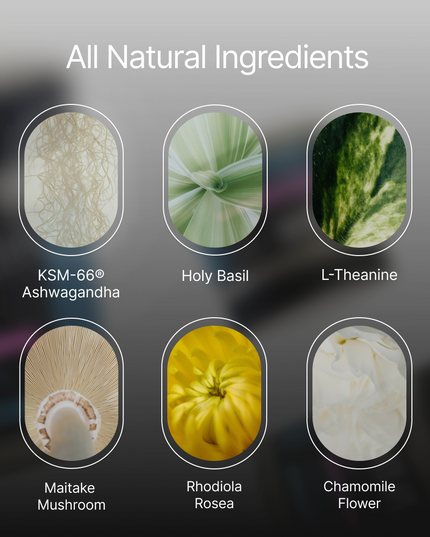 ZenX: Mood Support Nootropic