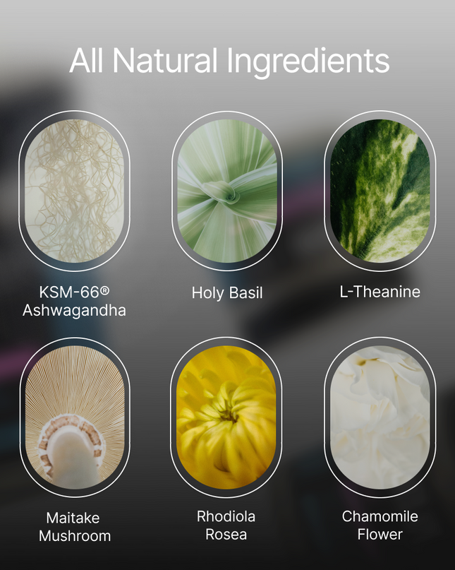 ZenX: Mood Support Nootropic