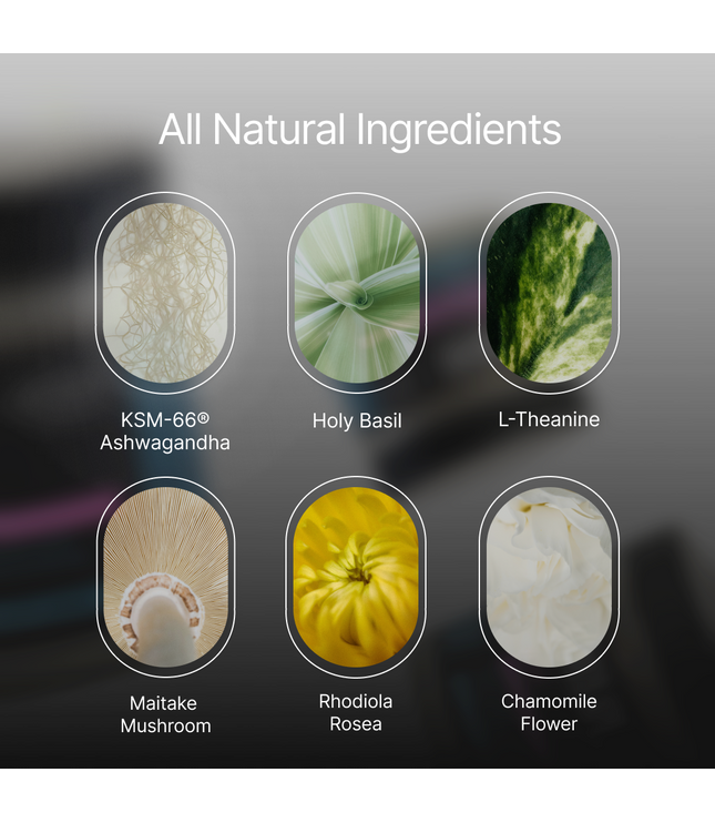 ZenX: Mood Support Nootropic