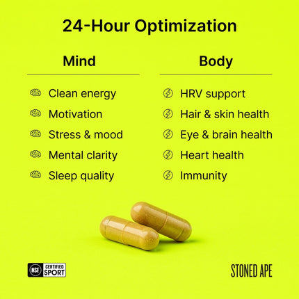Nootropack: Our Nootropic Bundle