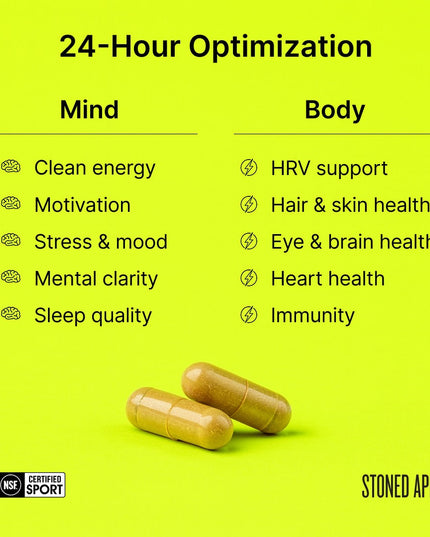 Nootropack: Our Nootropic Bundle