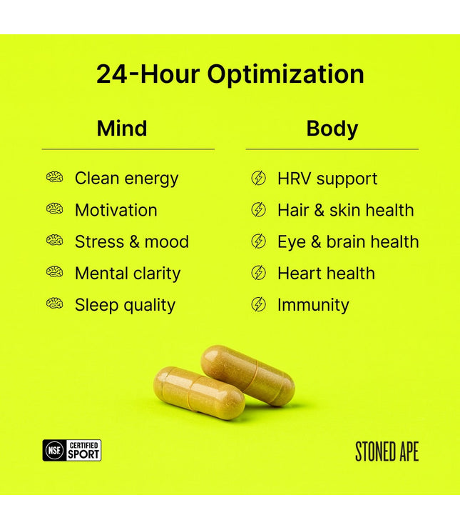 Nootropack: Our Nootropic Bundle