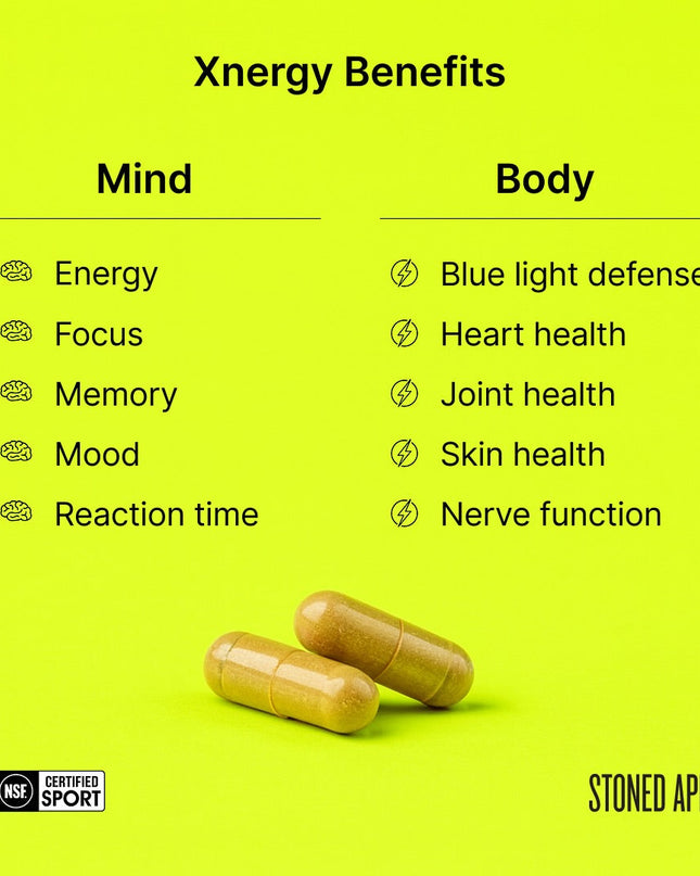 Xnergy: A.M. Nootropic for Calm Energy, Focus & Motivation