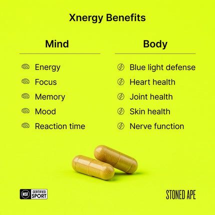 Calm Energy Bundle