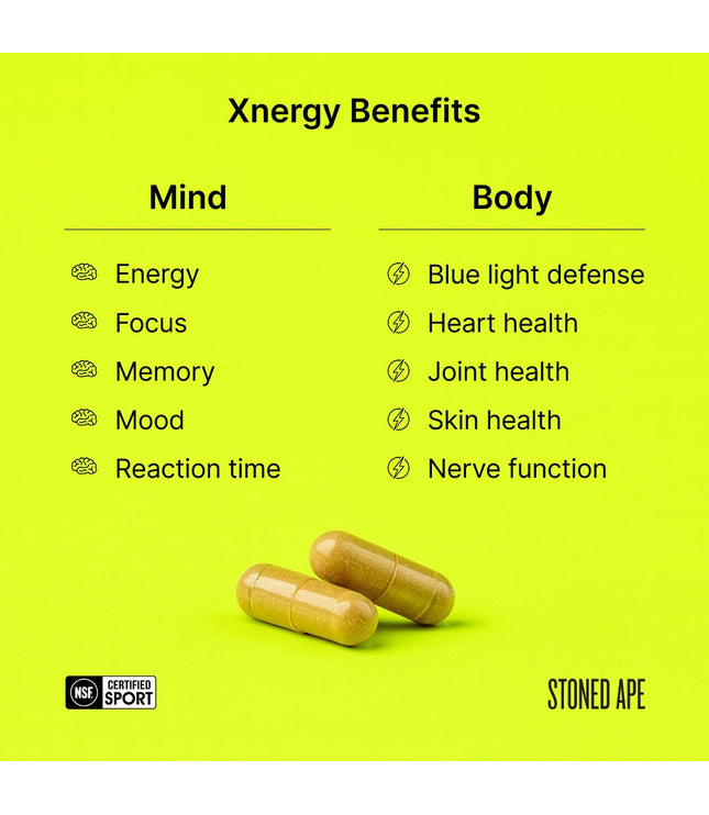 Calm Energy Bundle