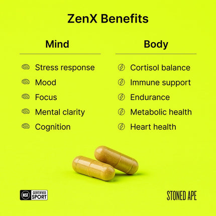 Calm Energy Bundle