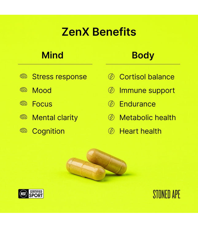 ZenX: Mood Support Nootropic