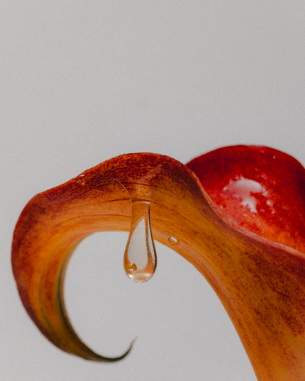 LAKA® Honey™
