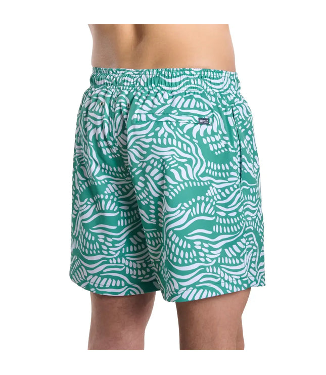 Men’s Premium Compression-Lined Hybrid Shorts – Salt Spray - Palm and Surf