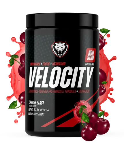 VELOCITY