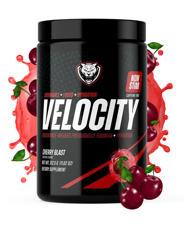 VELOCITY