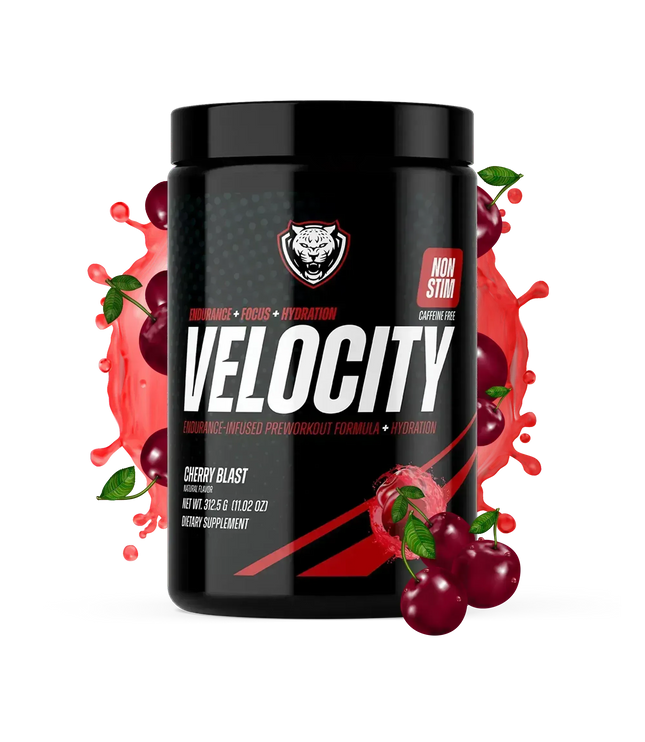 VELOCITY