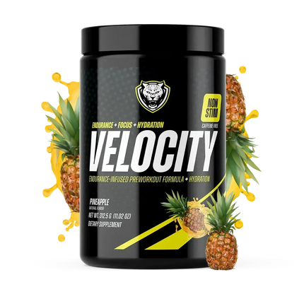 VELOCITY