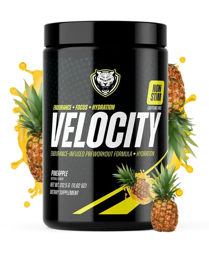 VELOCITY