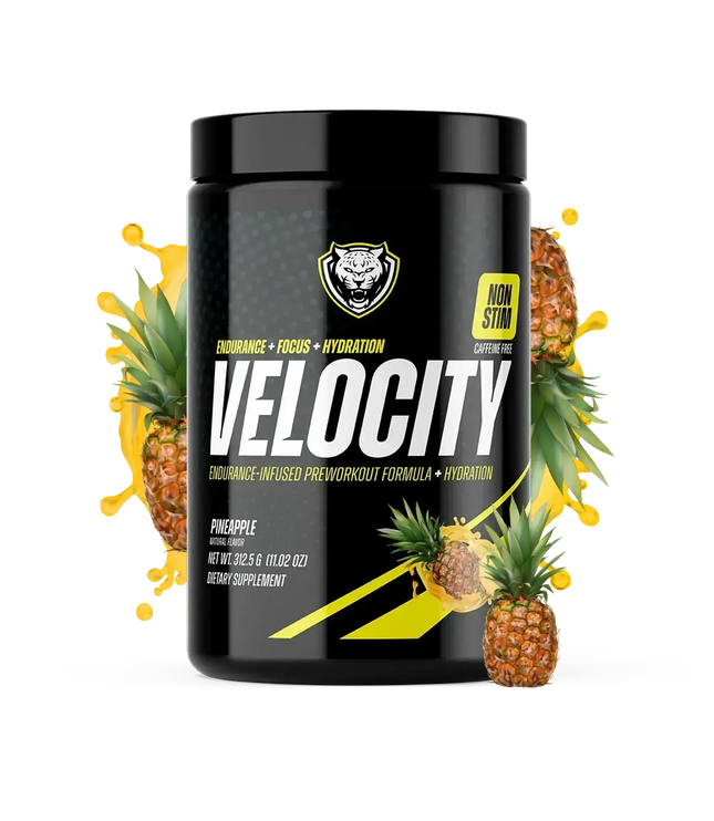 VELOCITY
