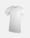 S / White
